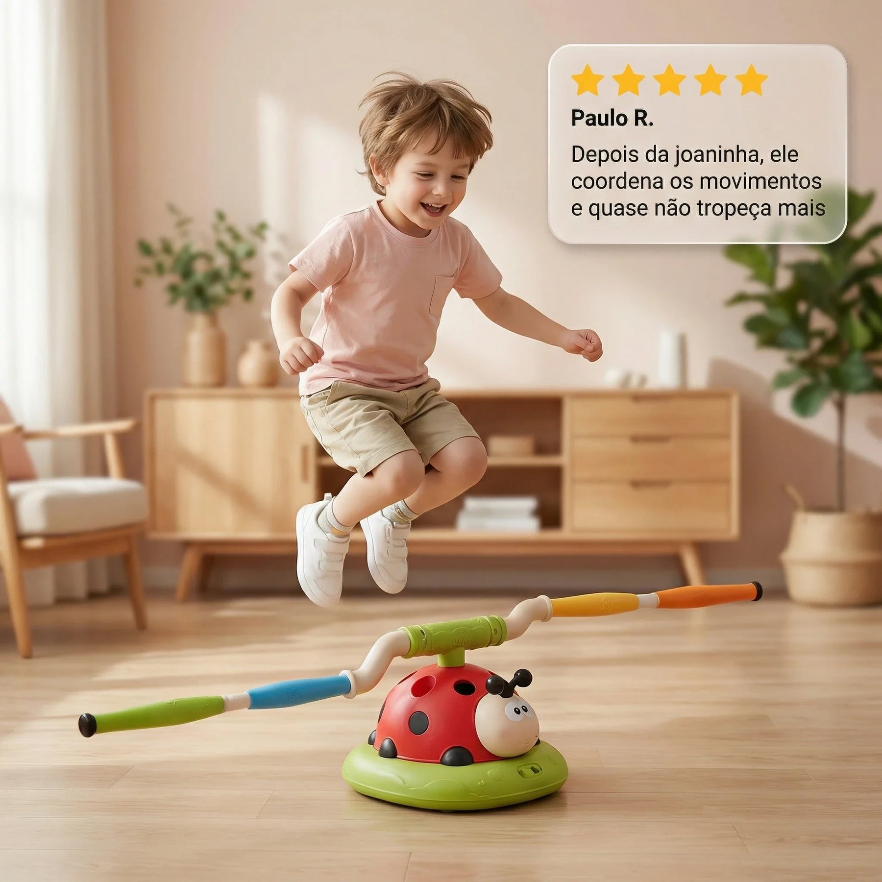 Brinquedo Educativo Joaninha Multifuncional Desenvolvimento Criativo